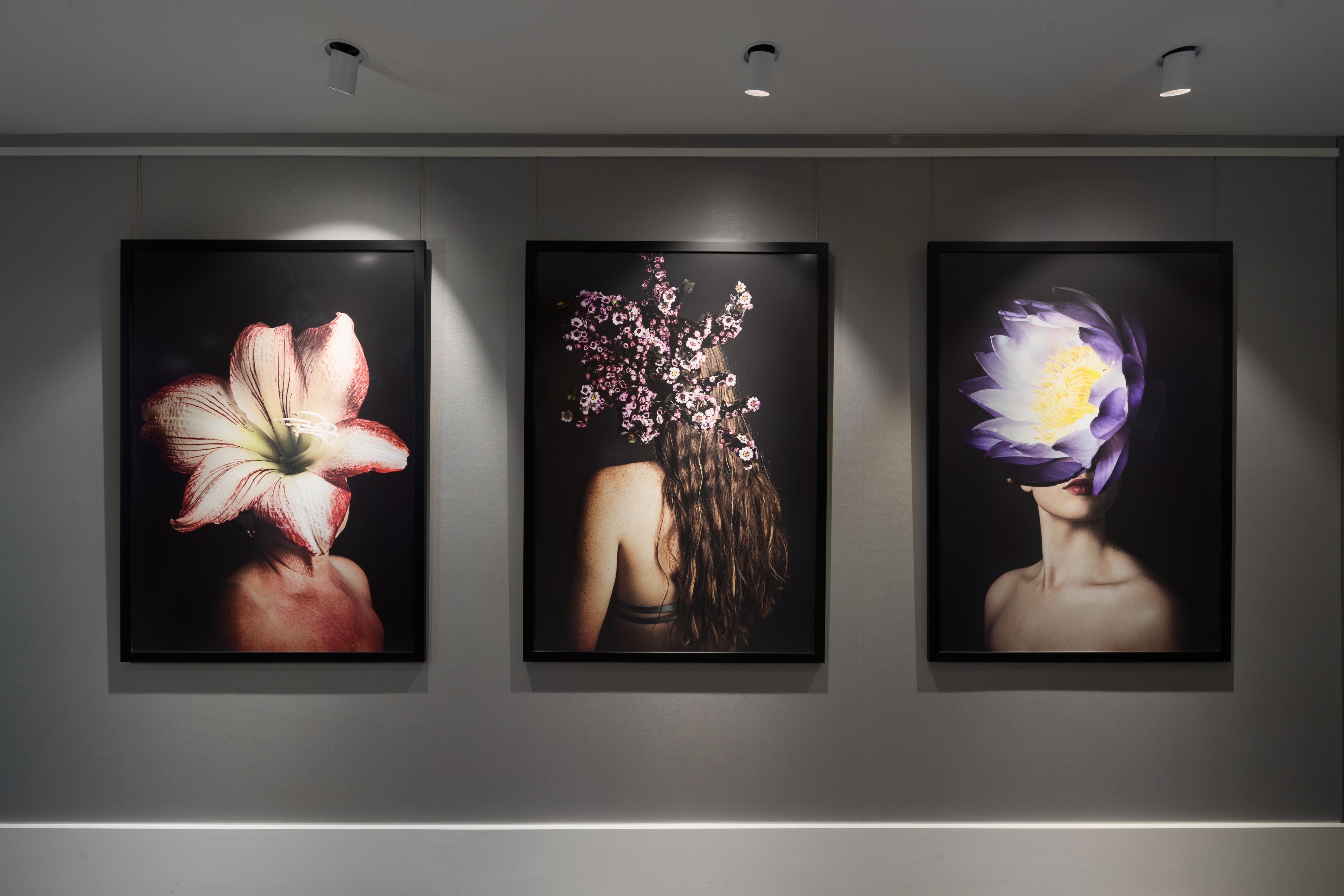 Crystalbrook Bailey Hotel Cairns Exterior photo The Flower Series